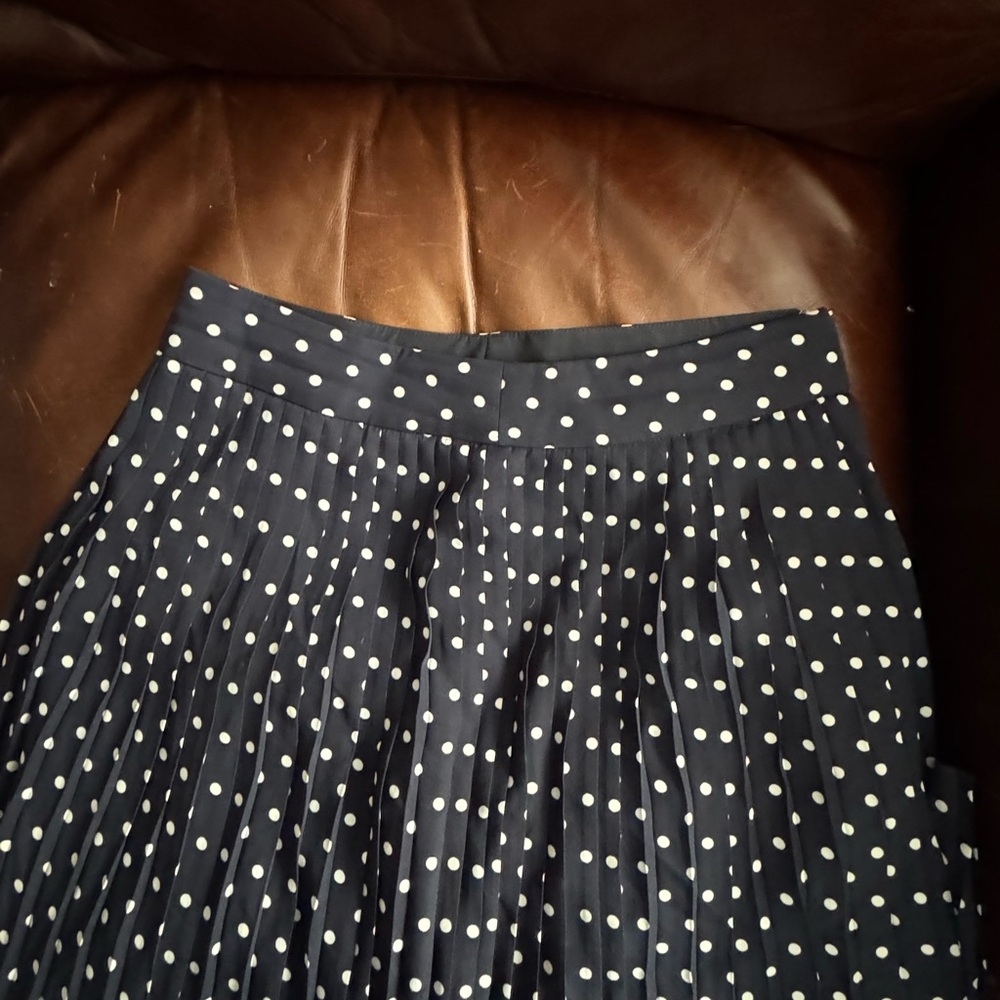 Navy Polka Dot Pleated Skirt
